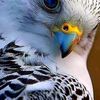 user1601761130438