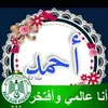 user8736133152977
