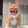 user6lfv2ow9ck