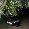 mydag005