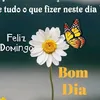 gean.ricardo79