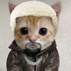 pusey_lx