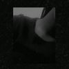 444_yildy_sin