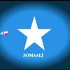 maajid11444
