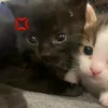 ejdhdhwu