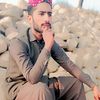 qaswarnazir5