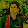 murad.saeed95