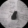 blackoutyq