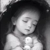 ro_sir27