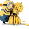 nnin0n