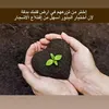 habibachahid2