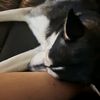 miavenegas7