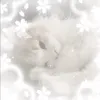 .cherrixz_