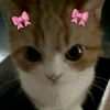 zayna1233