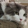 leo_ml4e