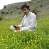 zeeshanuser005