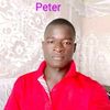 user6375261030561