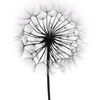 dandelion_212