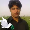 user8185311992427