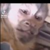 videoscringe712