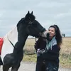 SCL Equine