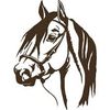 riders_konaev