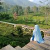 rahayu.ningsiht