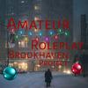 amateur_brookhaven_rp