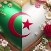 houda.houda3528