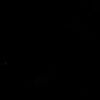 n029n