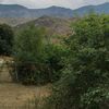 elsen_12636