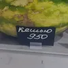 4pegma