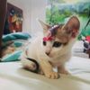 nubri_riyaa_09