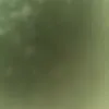 jajkooo6996