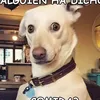 danielmeya0