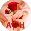 user8107127837563