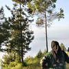 evifjls
