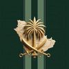 omarhan112