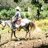 santiagojimenez360