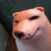 miphl_62