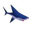 shark_guy2