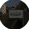 user5817404260009
