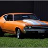 feral454