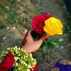 user2168611581372