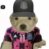 itzali_rmirz800