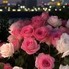 bvttrfly_3
