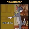nhatquan946