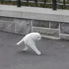 pnhn_u