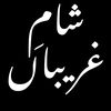 shehrozali4804