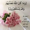 fatimabekkal2